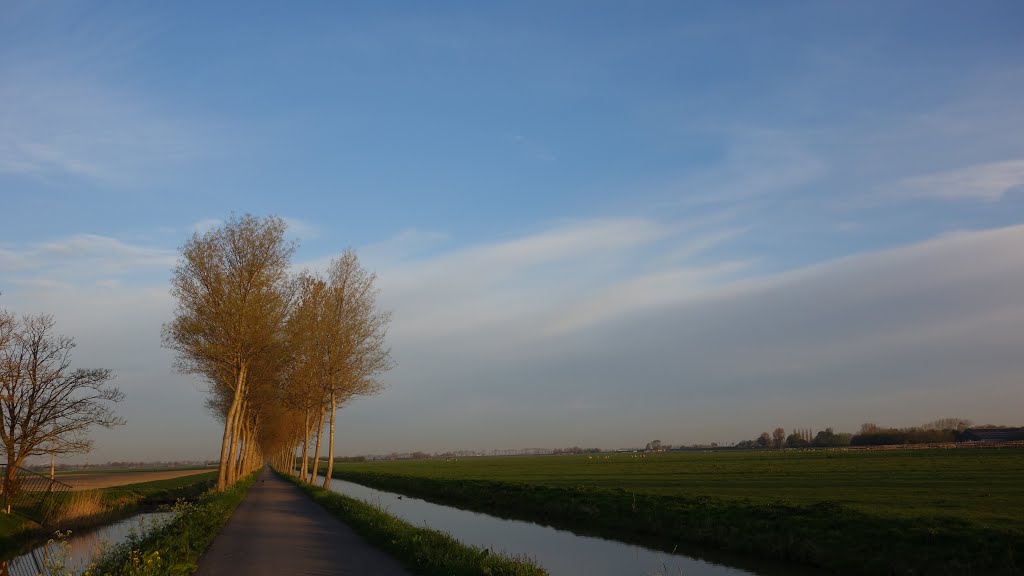 Vrouwenweg @ Noordbeemster