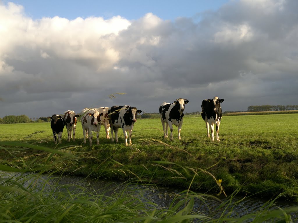 Take a look at us now, fresh milk !