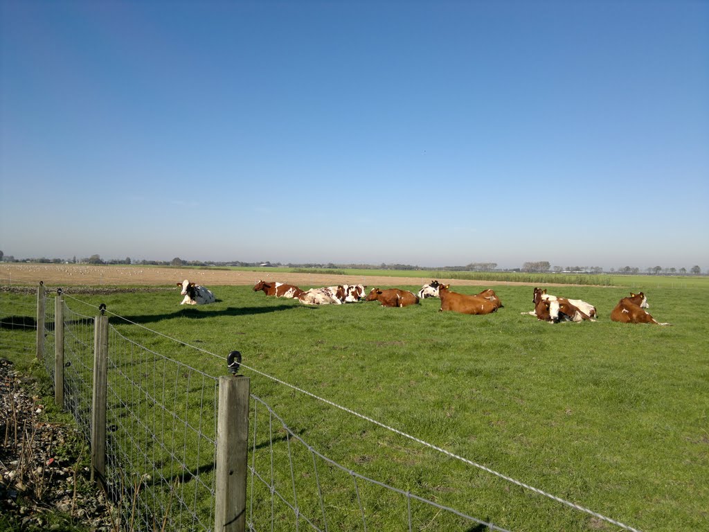 Middenbeemster, Middenweg