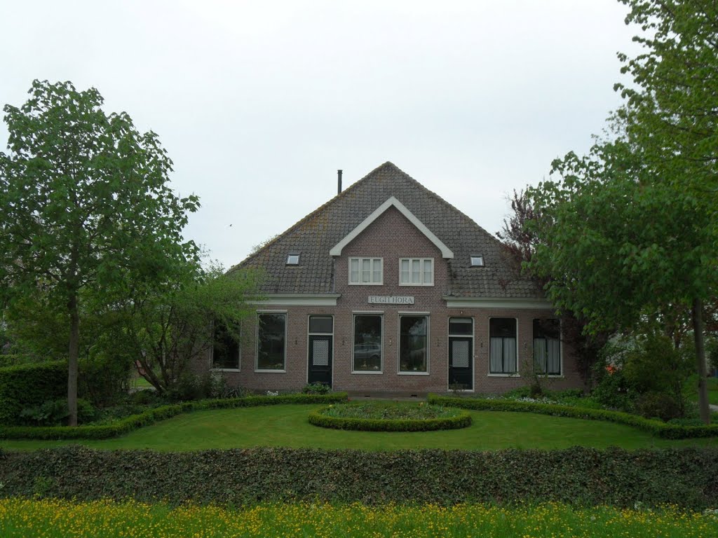 NL - Noordbeemster - Middenweg (Fugit Hora)