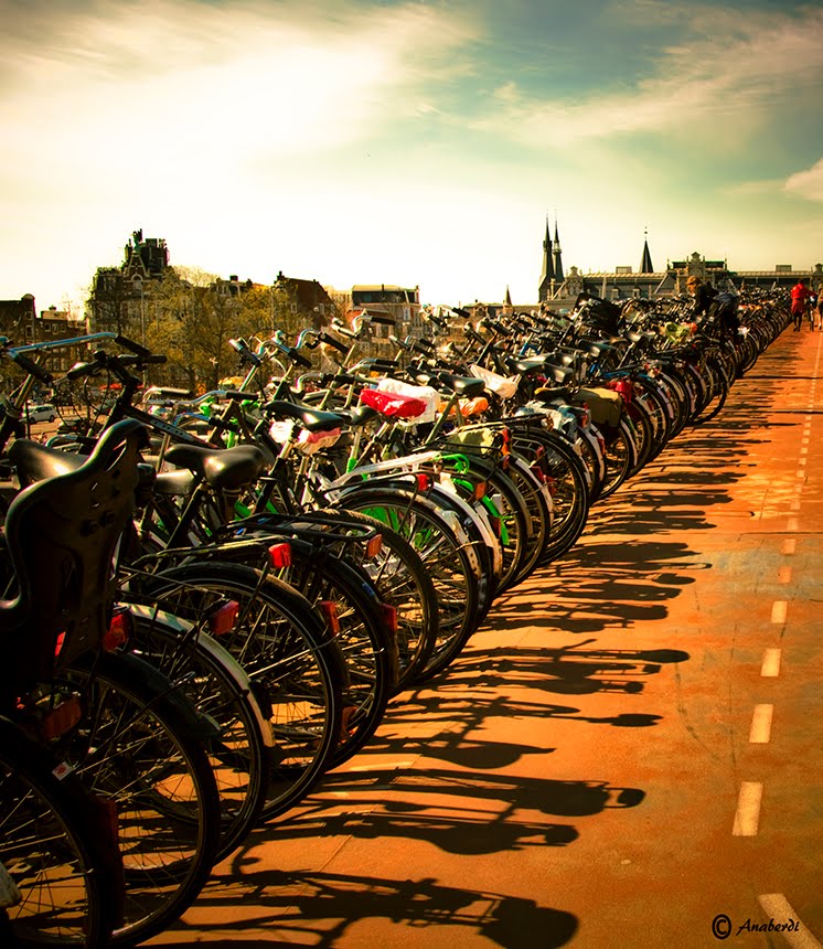 BICIS EN AMSTERDAM / BIKES IN AMSTERDAM (1)