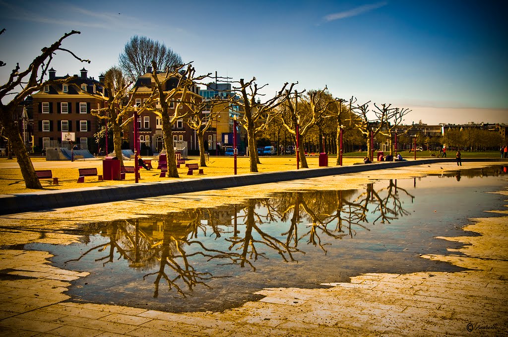 REFLEJOS DE AMSTERDAM / AMSTERDAM ´ REFLECTIONS