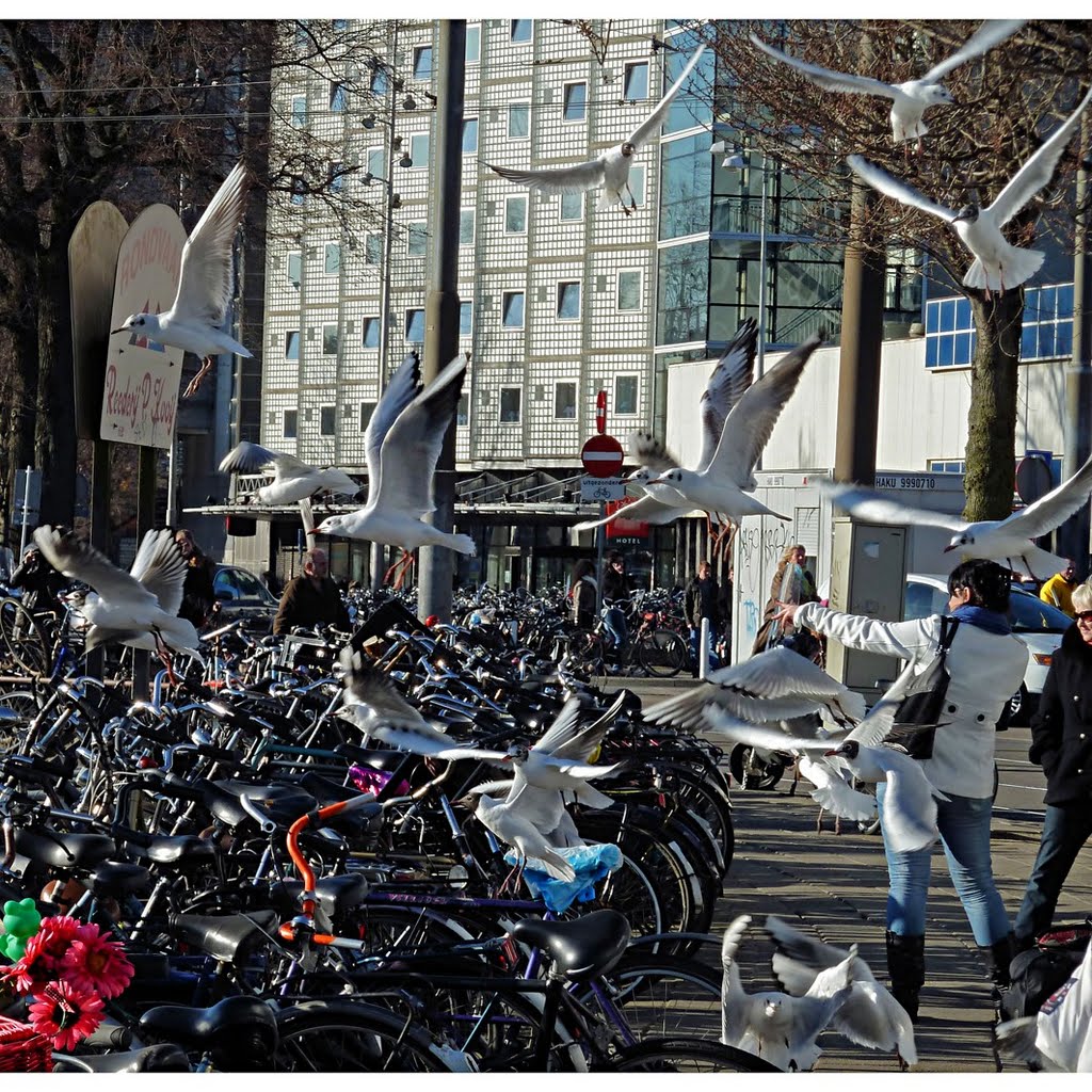 Amsterdam