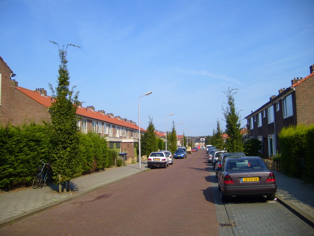 Geelvinckstraat, Velsen-Noord