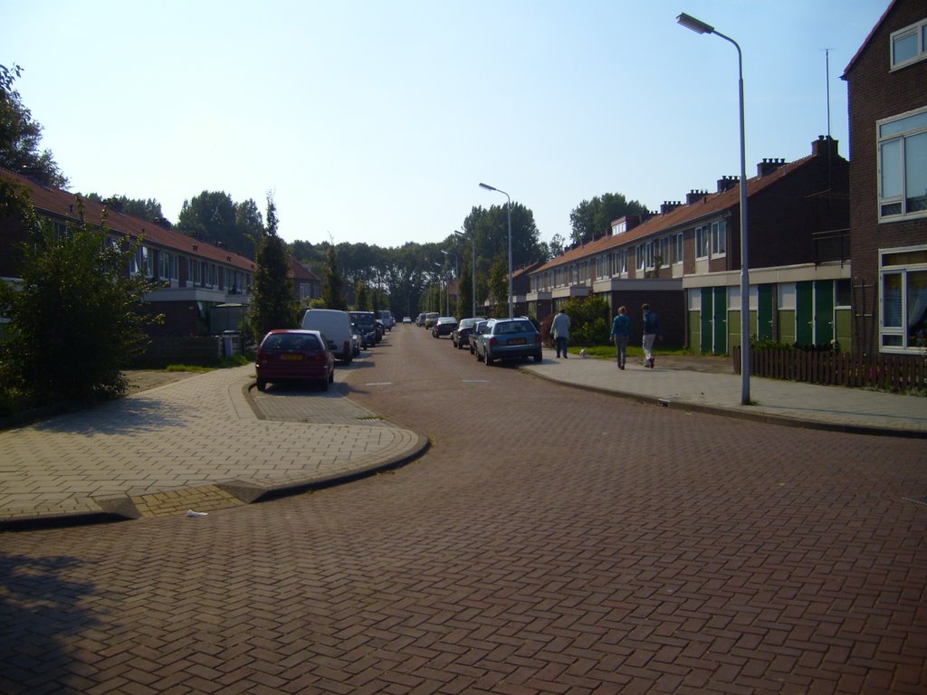 Geelvinckstraat, Velsen-Noord