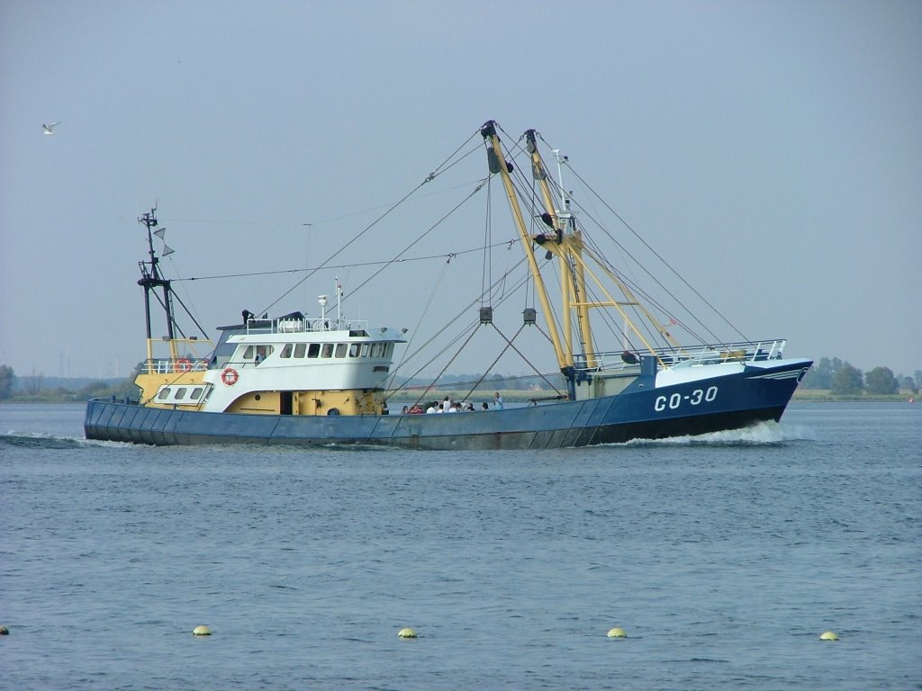 Fischkutter in Holland