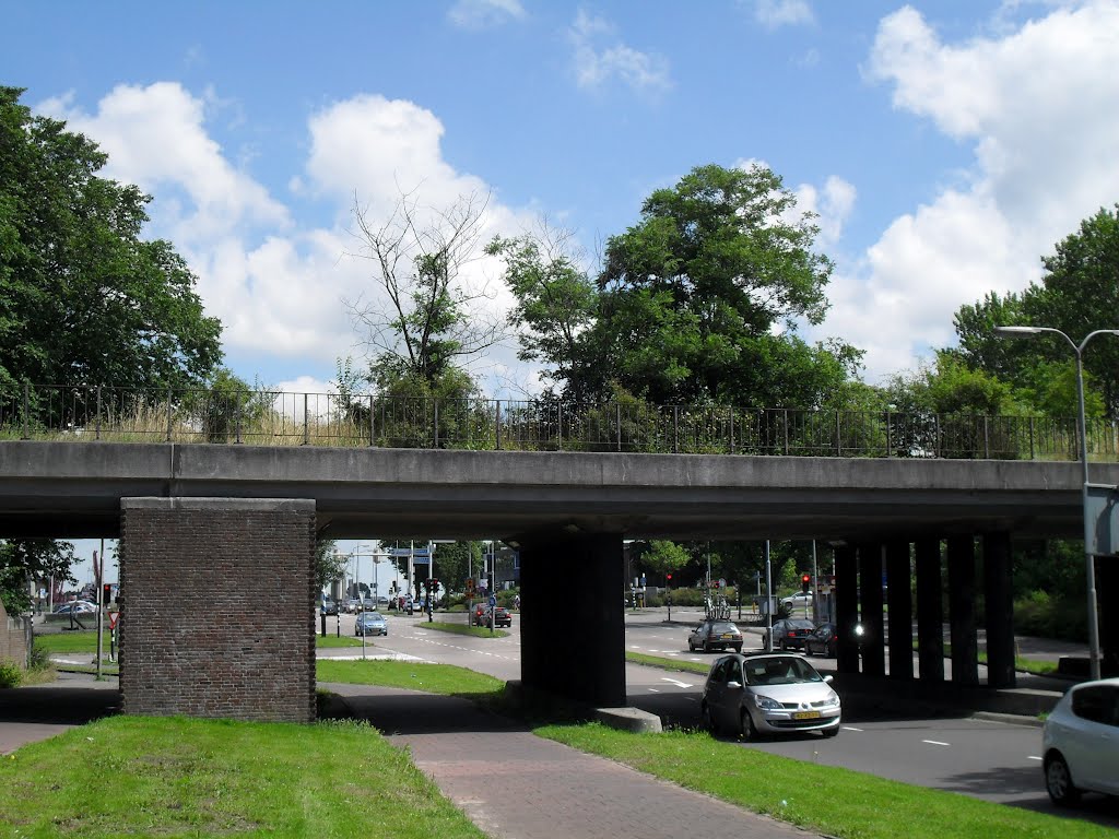 Bomen op viaduct (juli 2012)