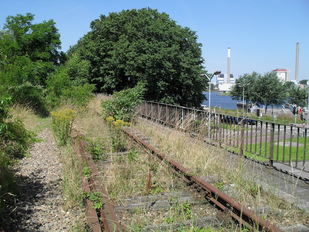 Onkruidspoor (juli 2012)