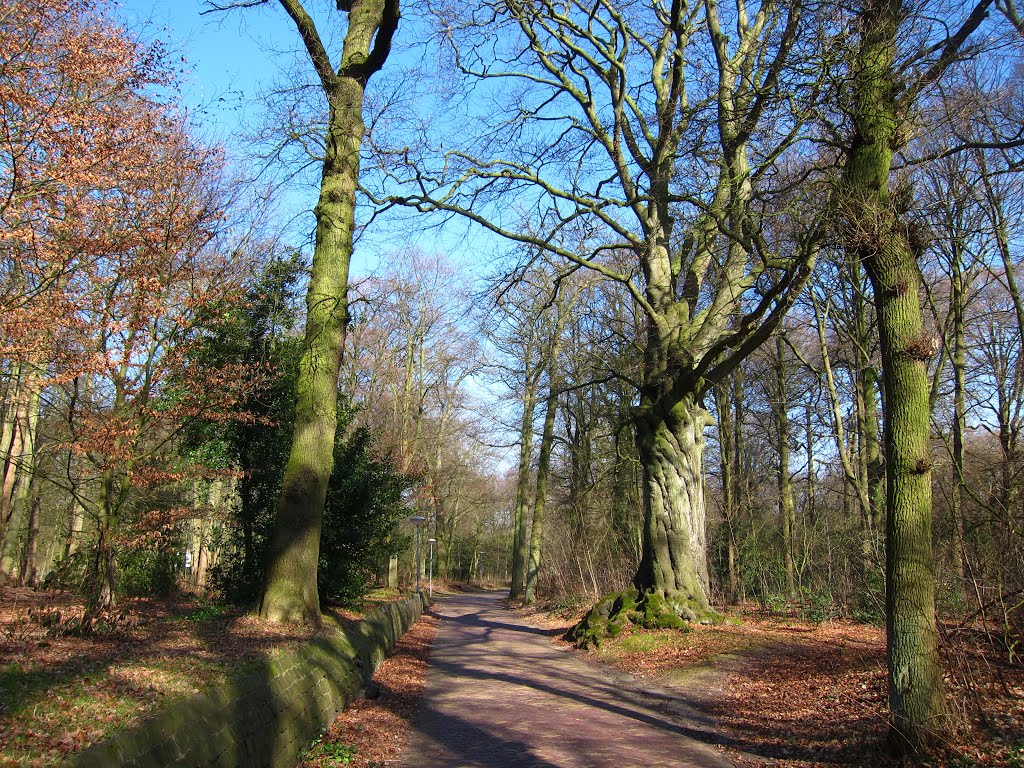 Driehuizerkerkweg