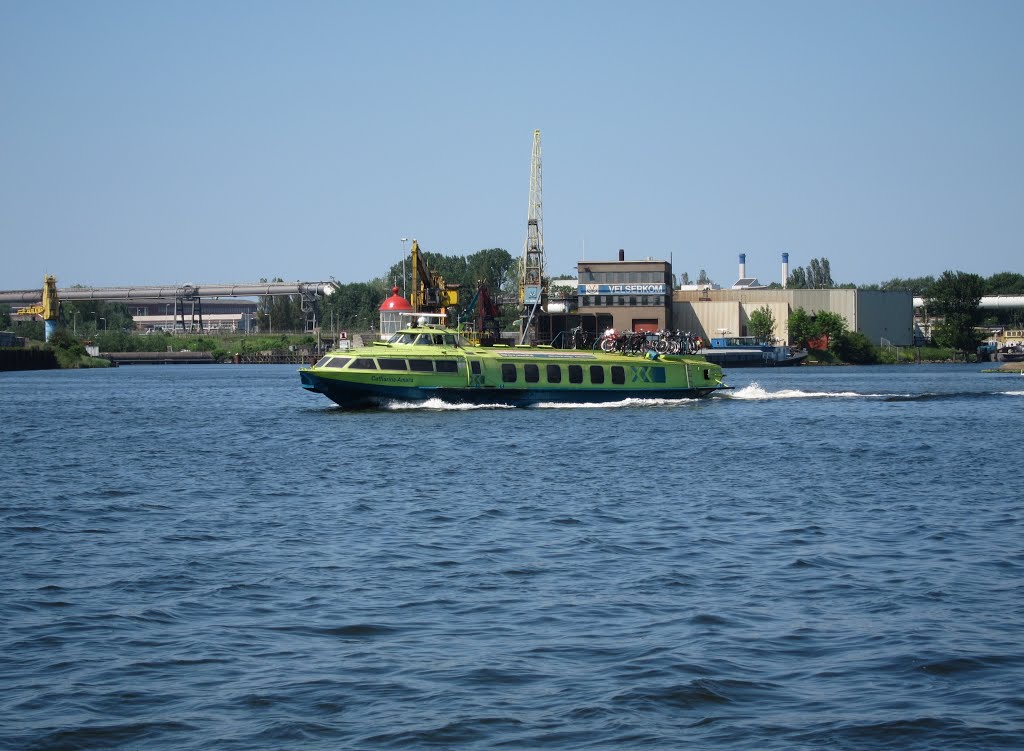 IJMUIDEN, Velsen-Zuid.  Fast Flying Ferry returns from Amsterdam