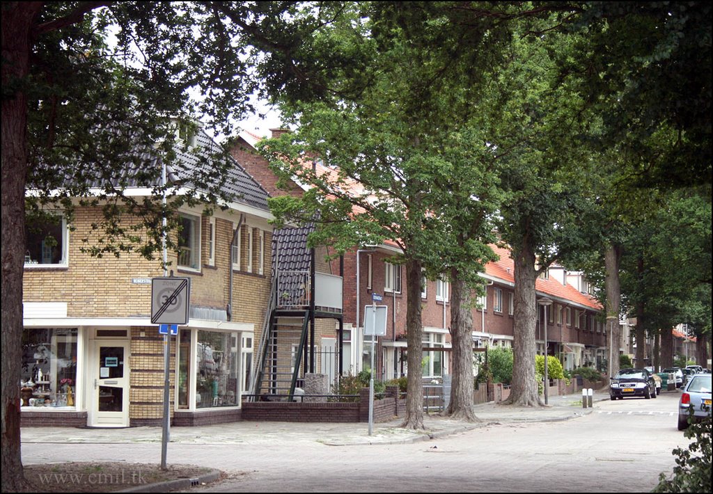 Ooievaarstraat