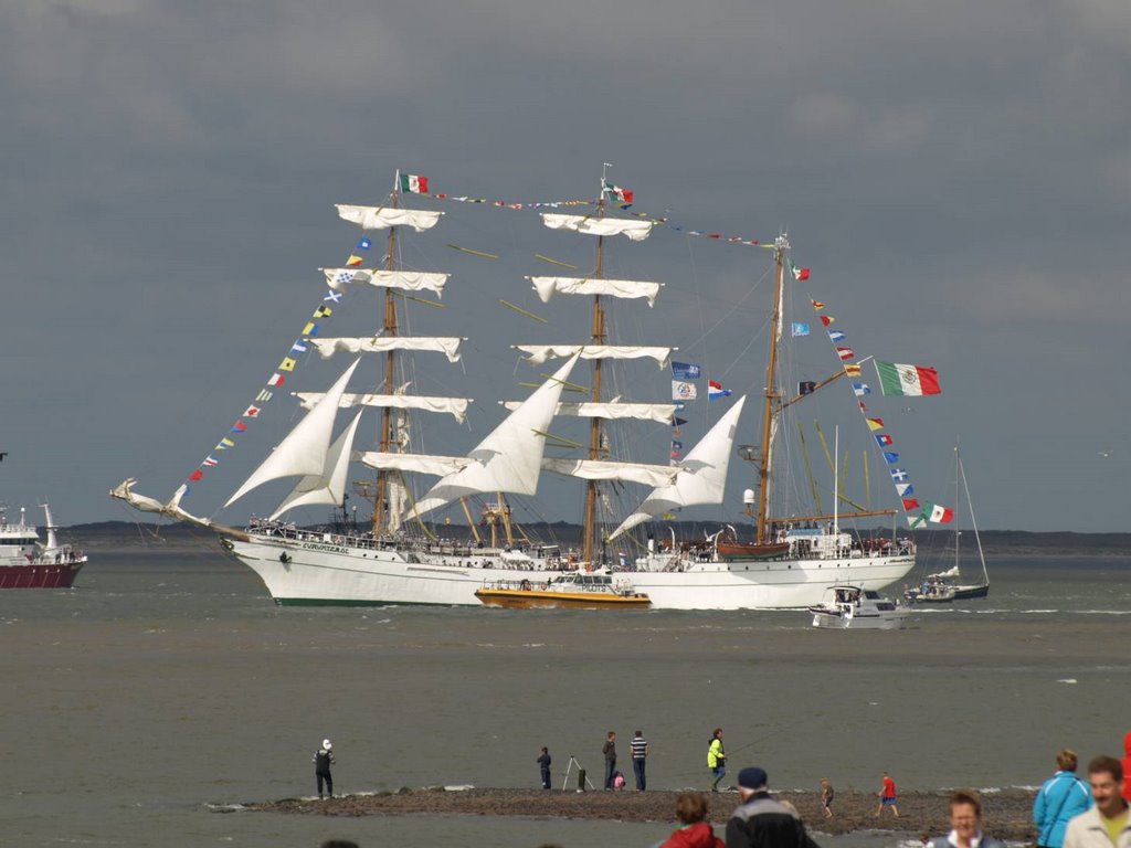 The Tall Ships Races in Den Helder ...