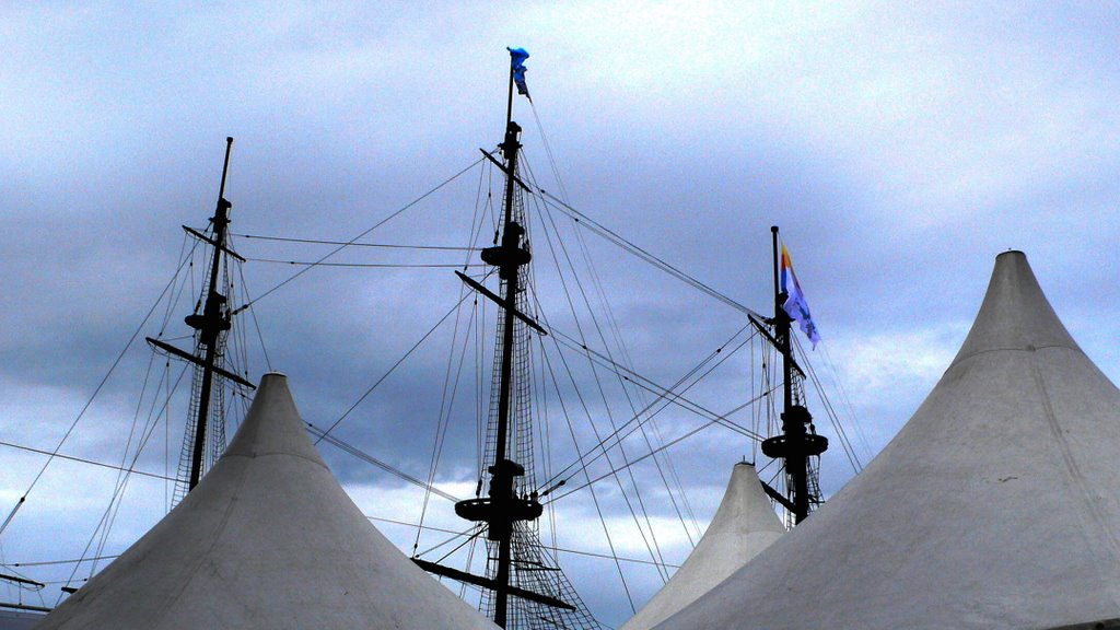 Museumshaven Den Helder ...