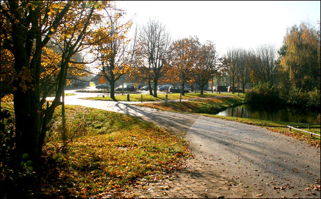 Schooterweg