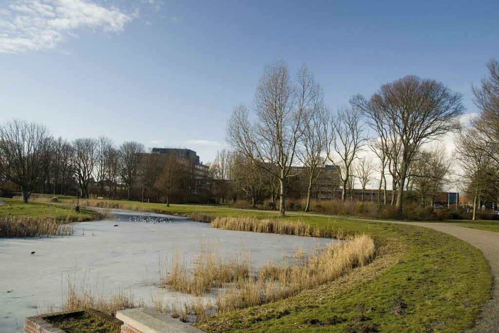 Den Helder - Churchill Park - View WNW towards Gemini Ziekenhuis