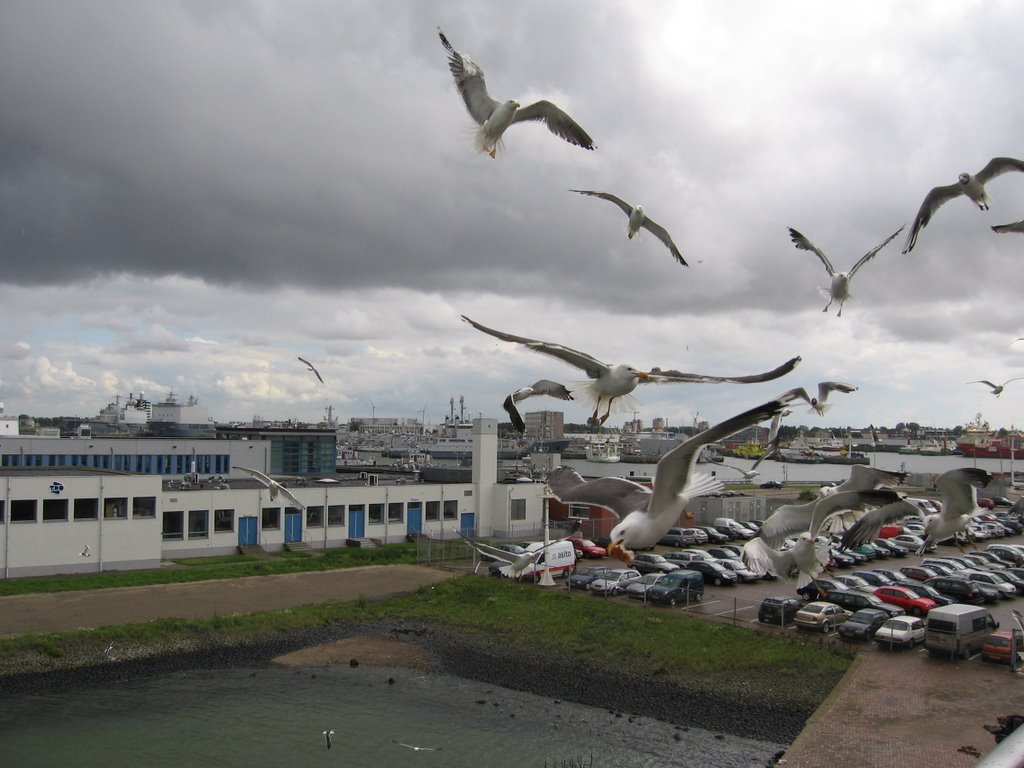 Den Helder Ferry