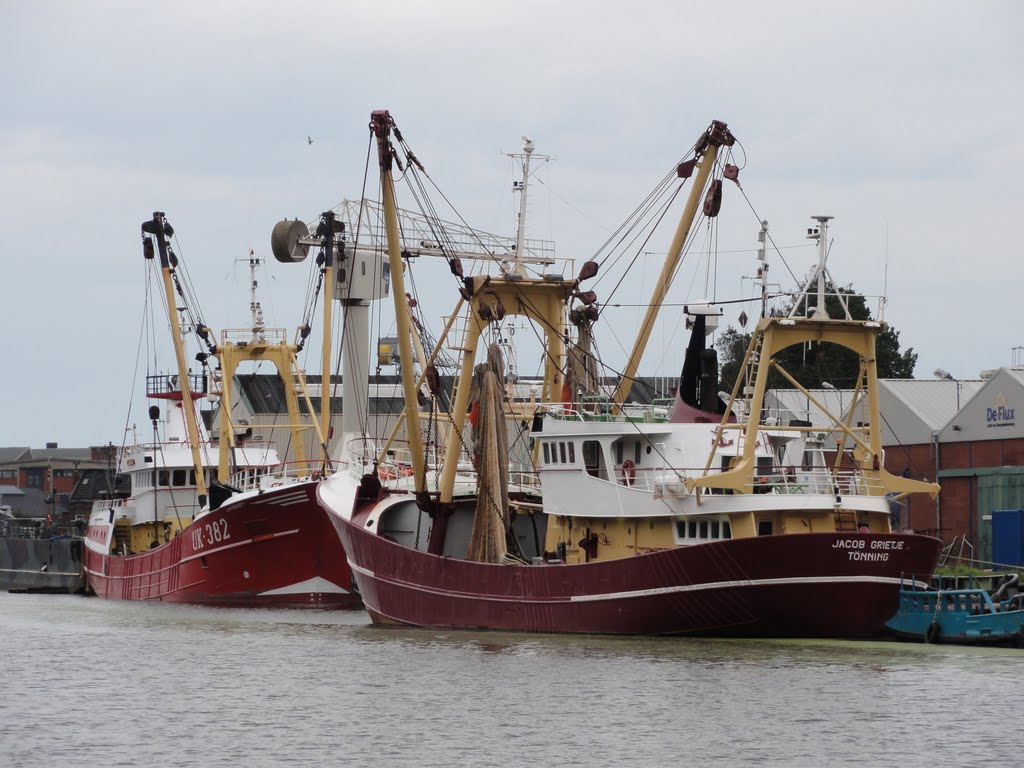 Fishtrawlers, Den Helder.
