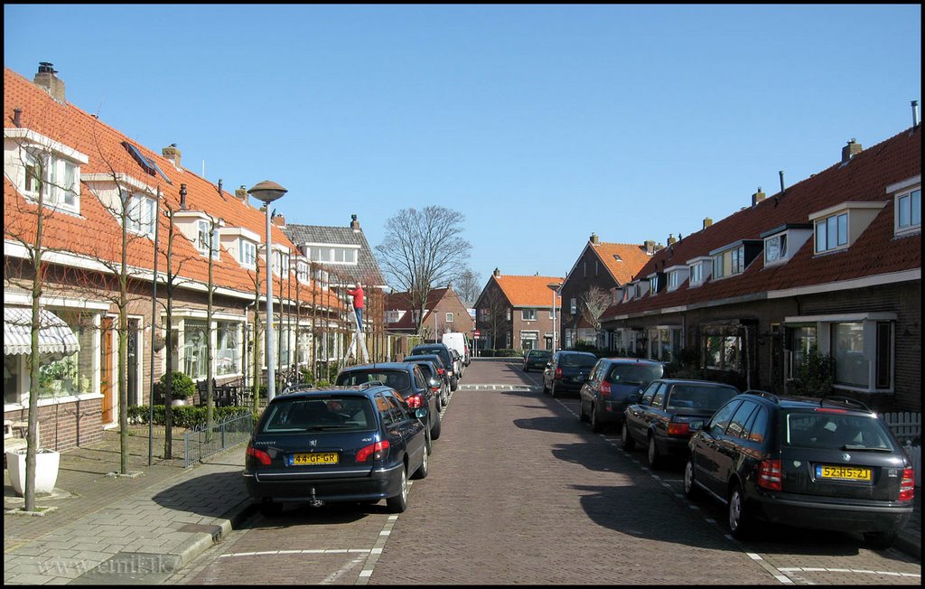 Narcisstraat