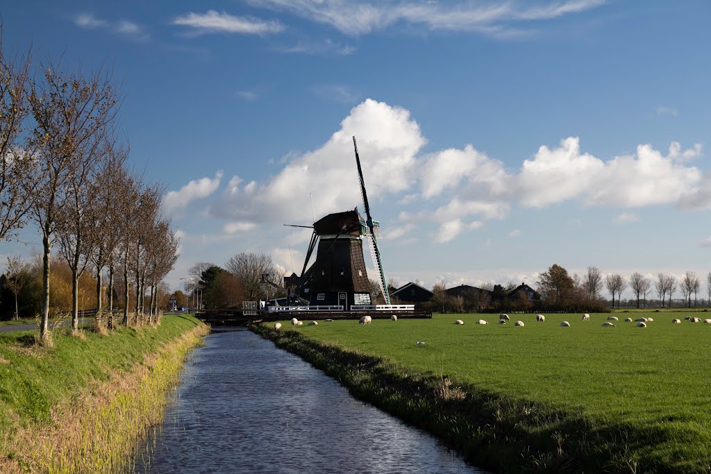 molen (mill) "de Nachtegaal" Hobrederweg 4, Middenbeemster, Netherlands