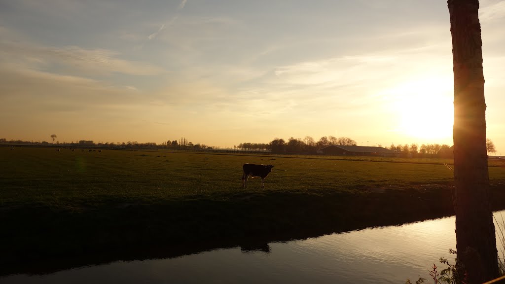 Vrouwenweg @ Noordbeemster