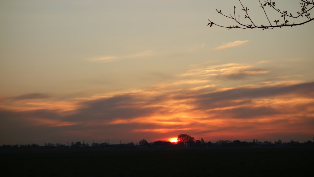 Sunrise @ Noordbeemster