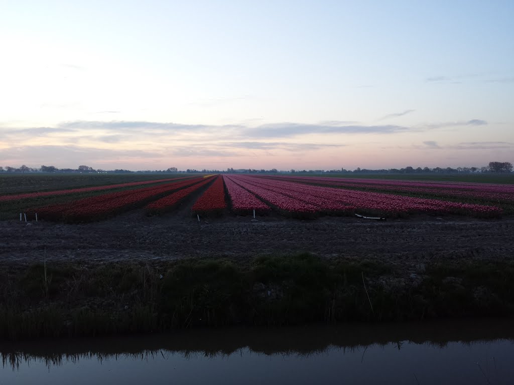 Jisperweg @ Noordbeemster