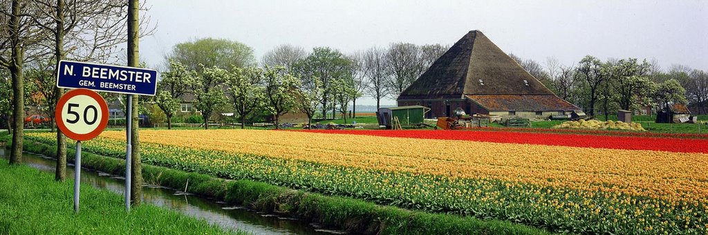Nederland, Noord-Beemster. NLF-11-4