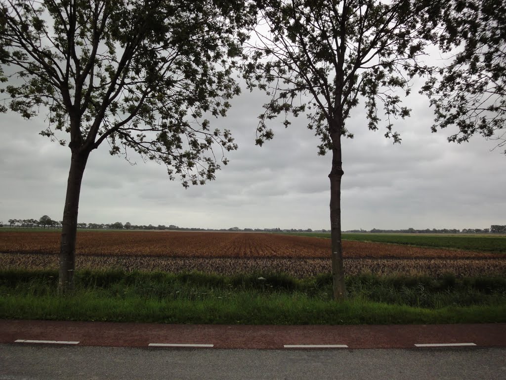 Westbeemster, Jisperweg