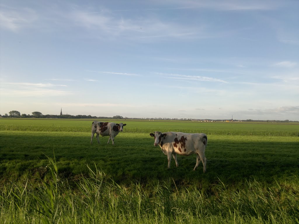 Westbeemster, Oosthuizerweg