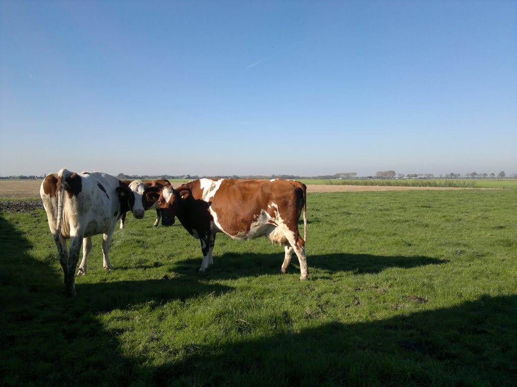 Middenbeemster, Middenweg