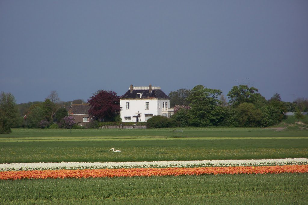 voormalig dijkgraaf huis (former dike inspector house) noord Beemster