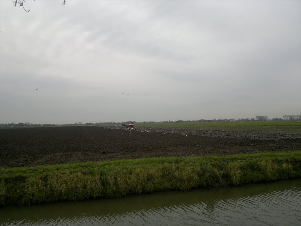 Westbeemster, Jisperweg