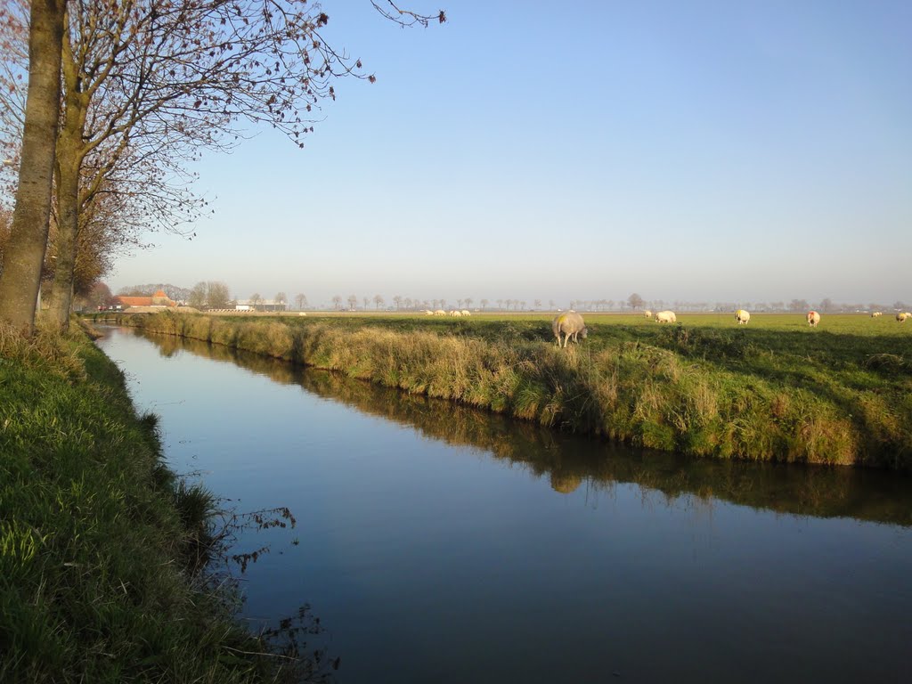 Westbeemster, Jisperweg
