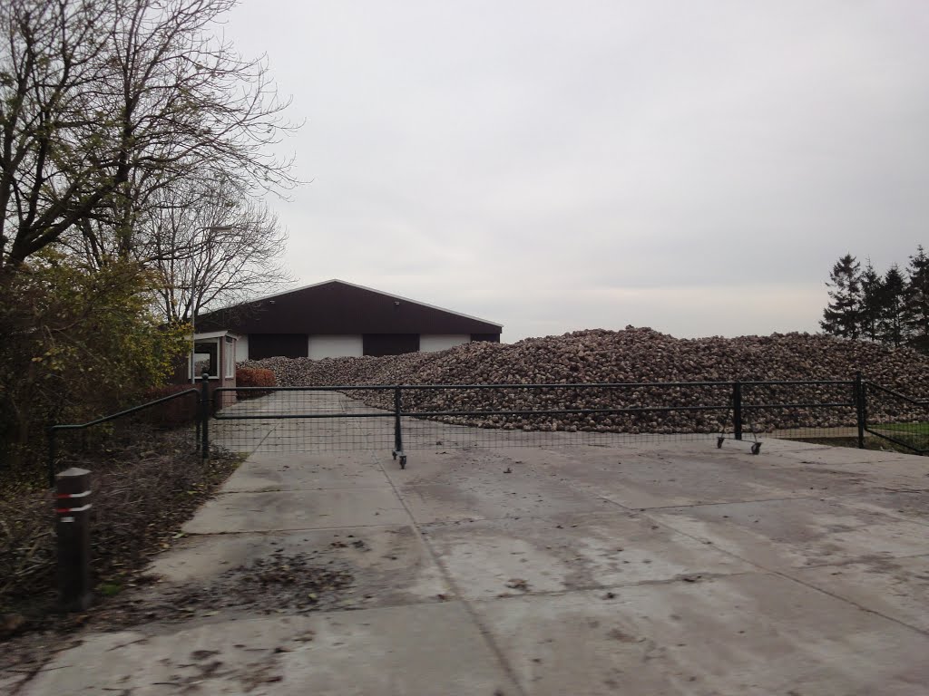 Jisperweg @ Westbeemster