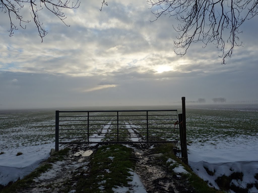 Jisperweg @ Noordbeemster