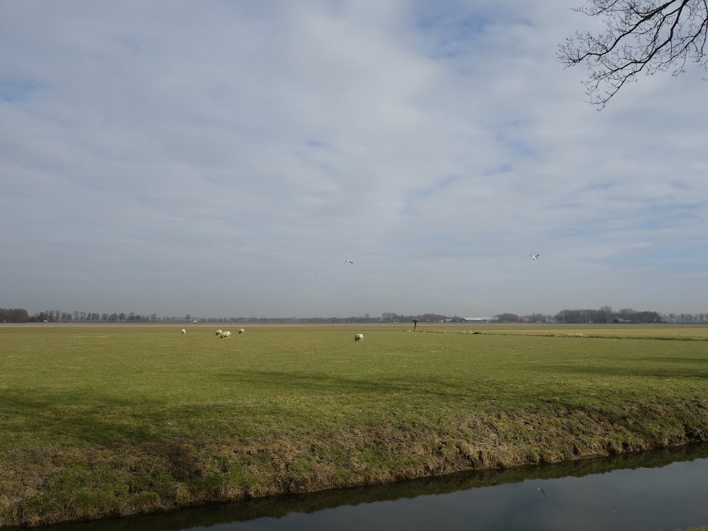 Oosthuizerweg @ Noordbeemster
