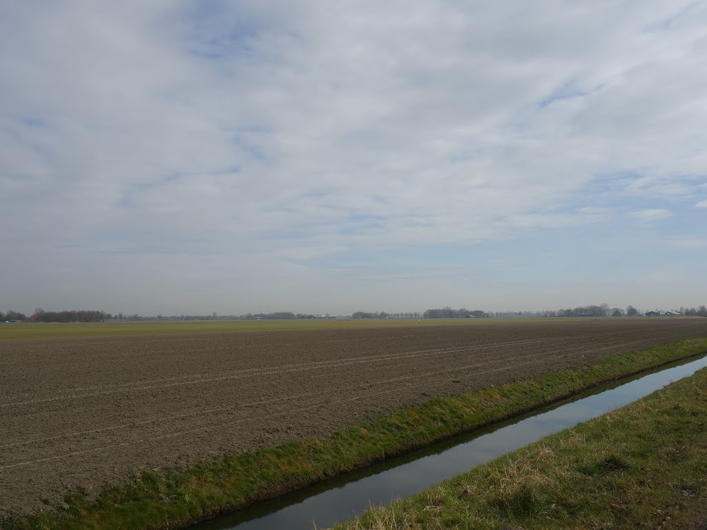 Dutch Landscape