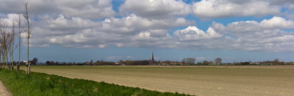 Today no tulips (please enlarge)