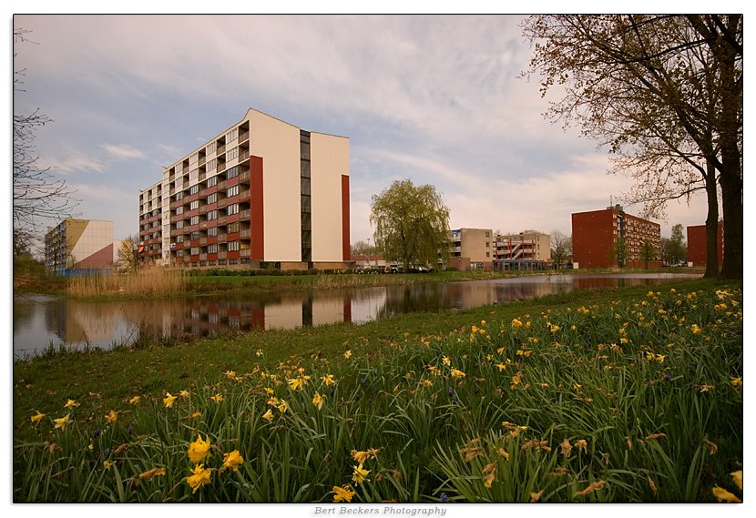 Woonblokken