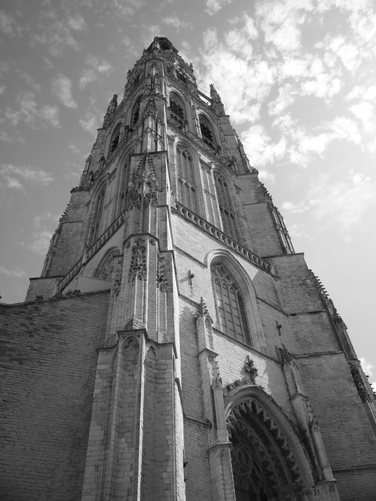 Grote Kerk - Breda - Holland - Holanda - Netherlands