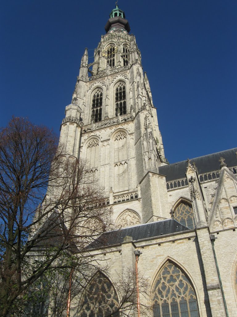 Grote kerk or Onze-Lieve-Vrouwekerk (Church of Our Lady), Breda, The Netherlands