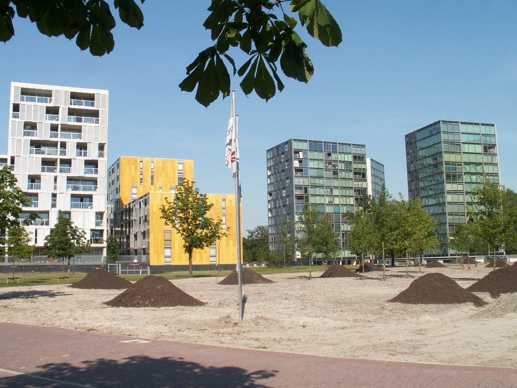 Breda - Nieuwbouw Chasséterrein