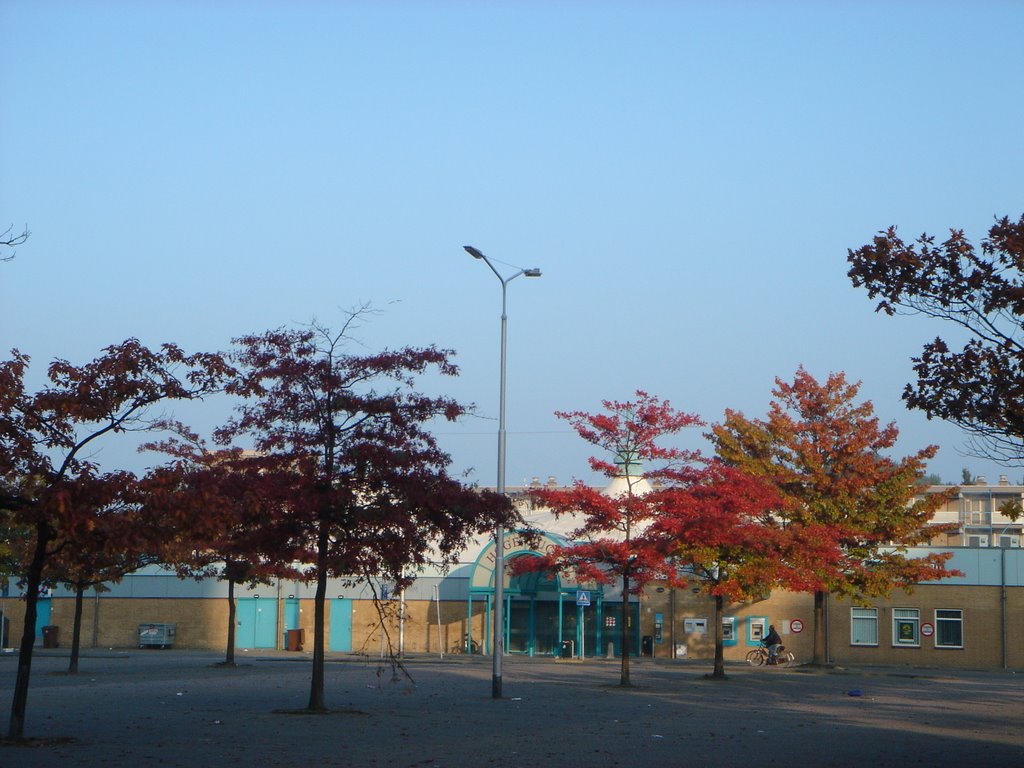 Parkinglot Hoge Vucht