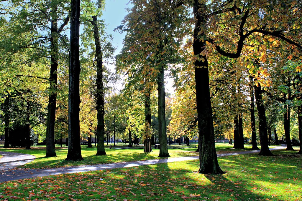 Valkenberg, Breda, The Netherlands