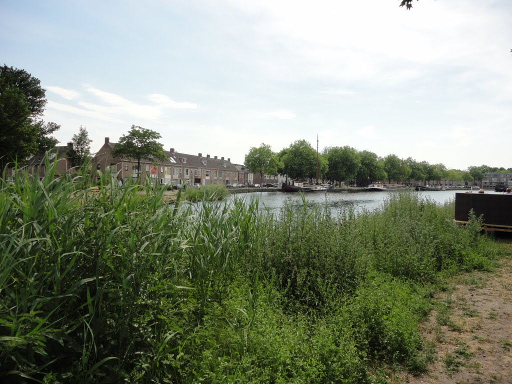 Piushaven Tilburg (1)