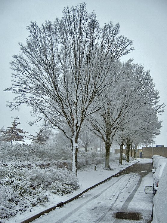 First snow falling at the Akkerstraat, Helmond