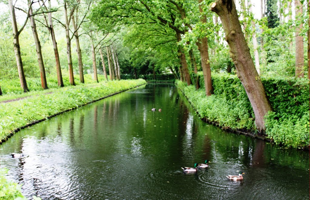 De IJsbaan, Helmond