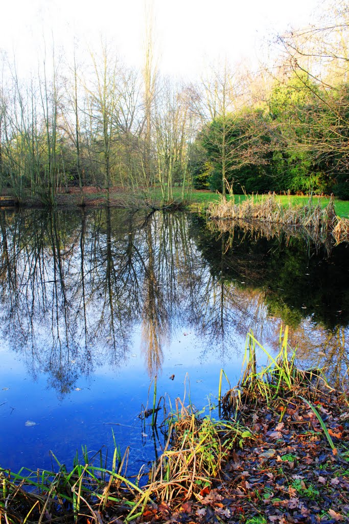 Warande, Helmond