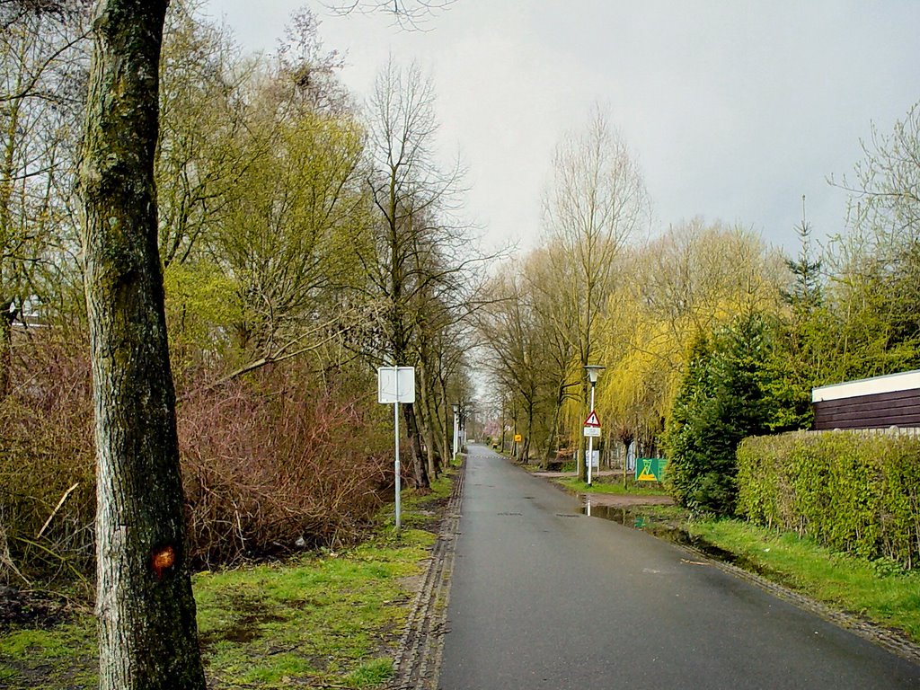 Omgeving Kapel van Binderen, Bosselaan, Helmond