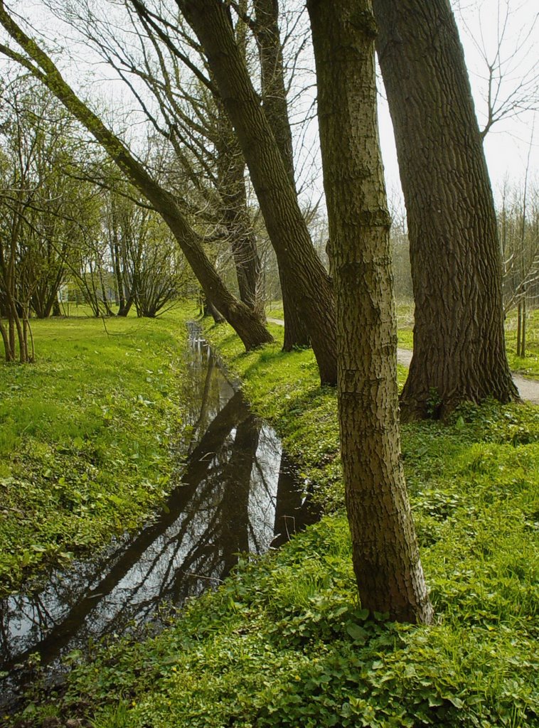 De Bundertjes, Helmond